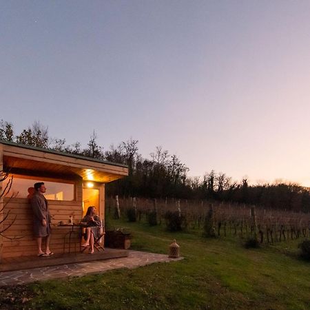 Agriturismo Terre Bianche Teolo Exteriör bild