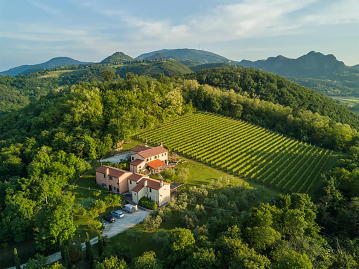 Agriturismo Terre Bianche Teolo Exteriör bild
