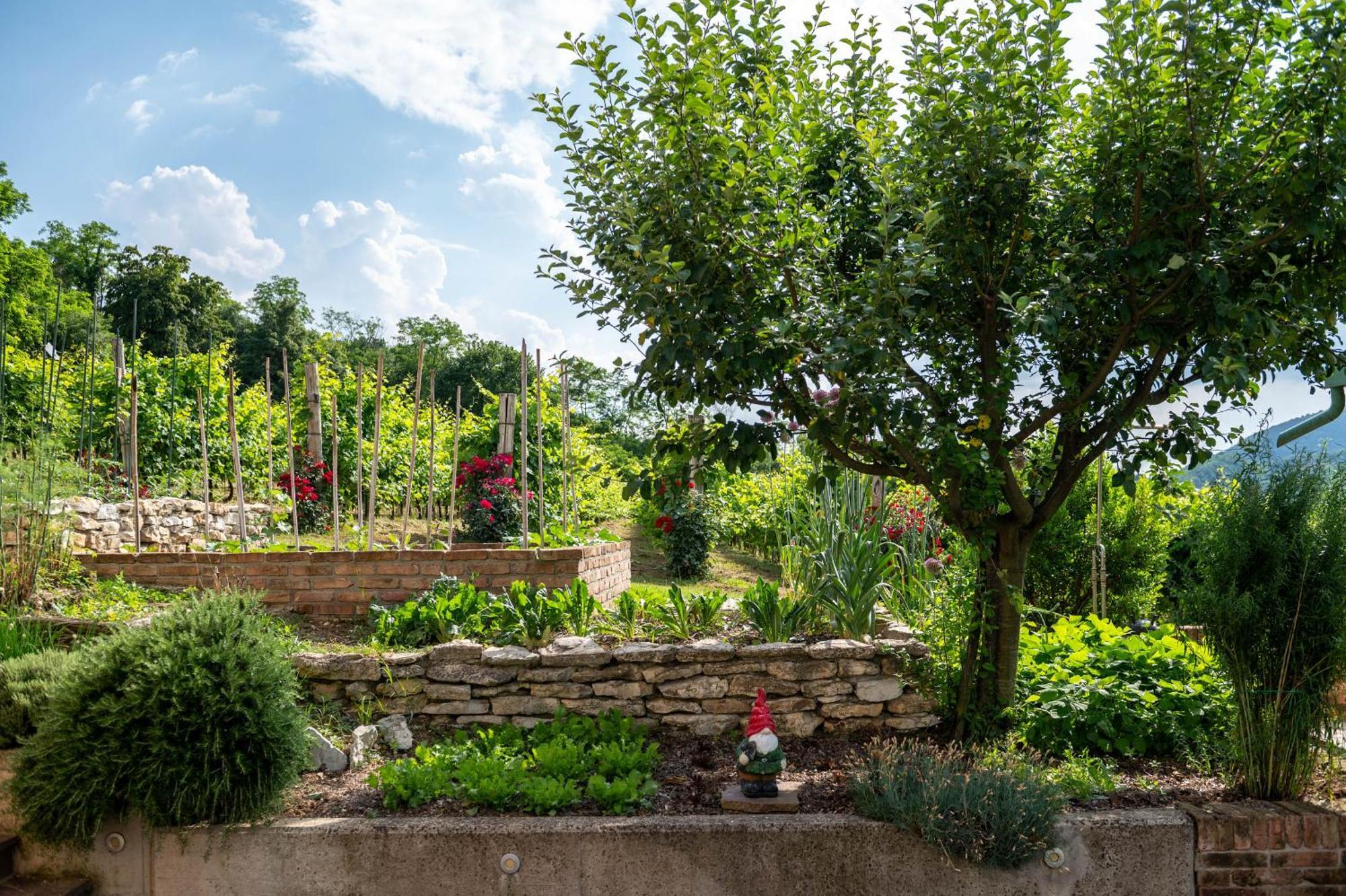 Agriturismo Terre Bianche Teolo Exteriör bild