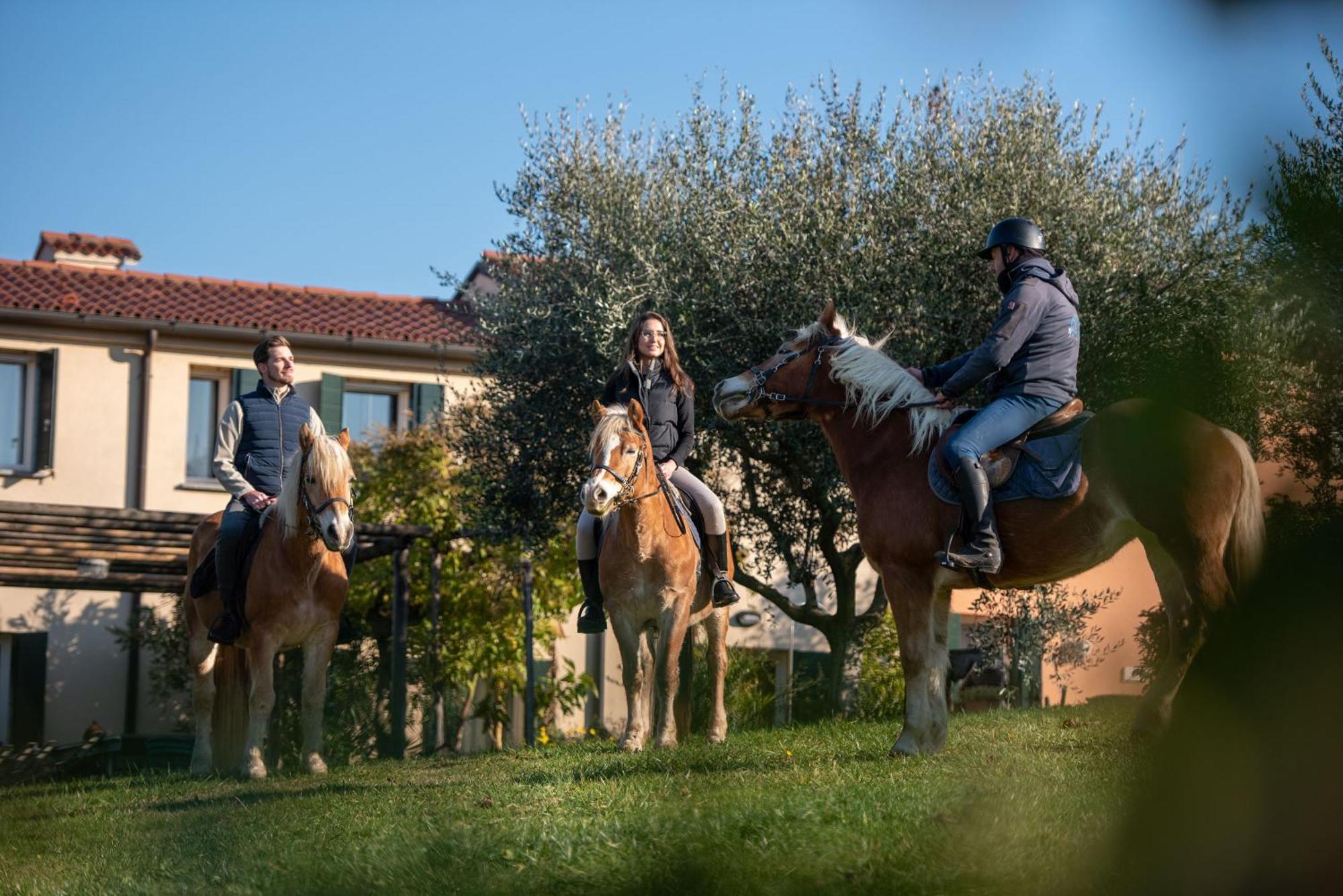 Agriturismo Terre Bianche Teolo Exteriör bild